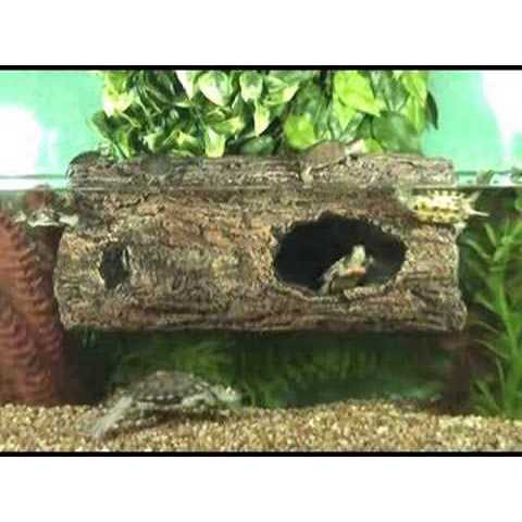 Floating Aquarium Log D534650