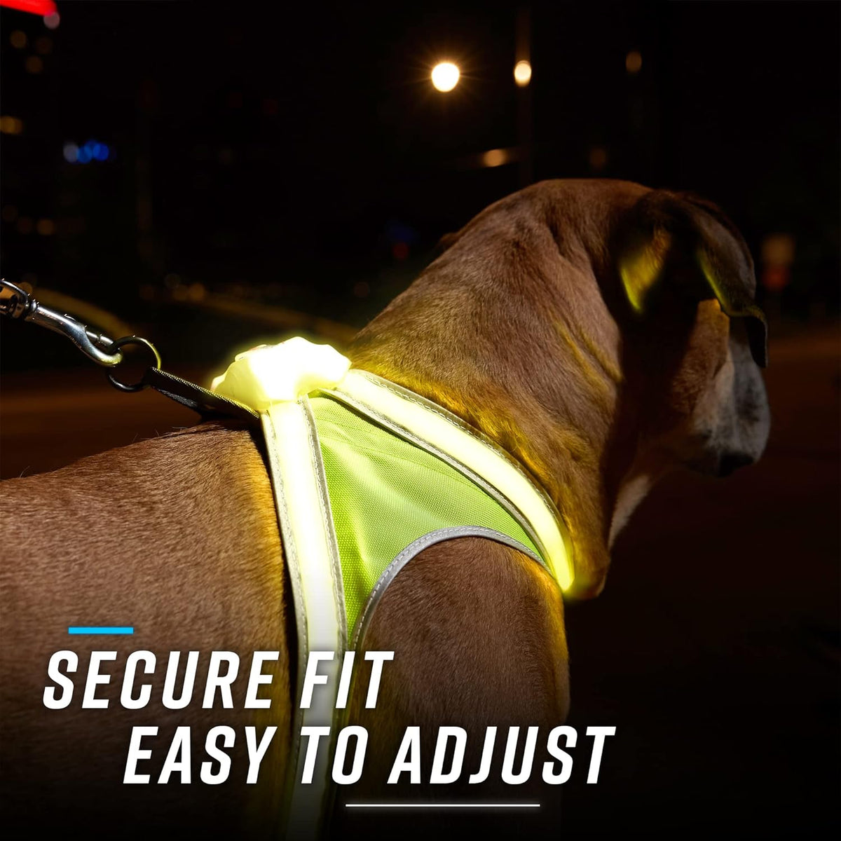 Multicolor LED Reflective Dog Harness Medium Pack of 2 C85878