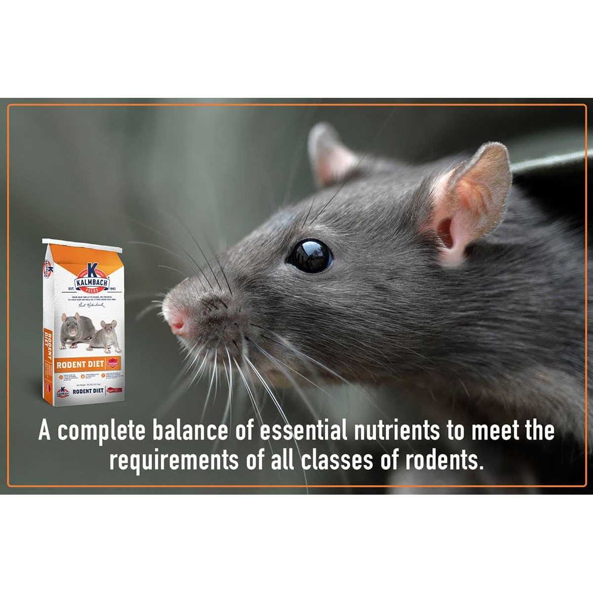 Rodent Diet Cubes Rats & Mice Food X65919