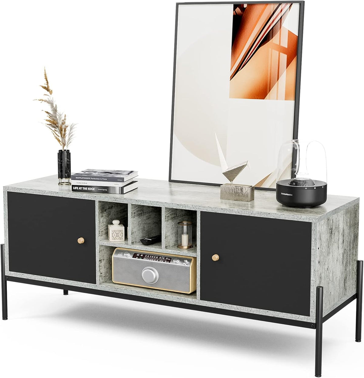 TV Stand with Storage and Open Shelves G2523