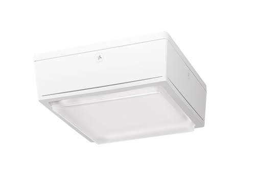 10W Warm LED Canopy Light C3871