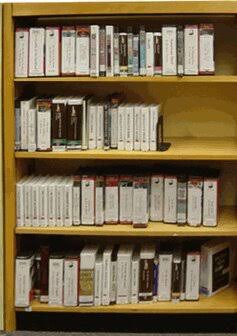 Walnut Standard Bookcase C6533