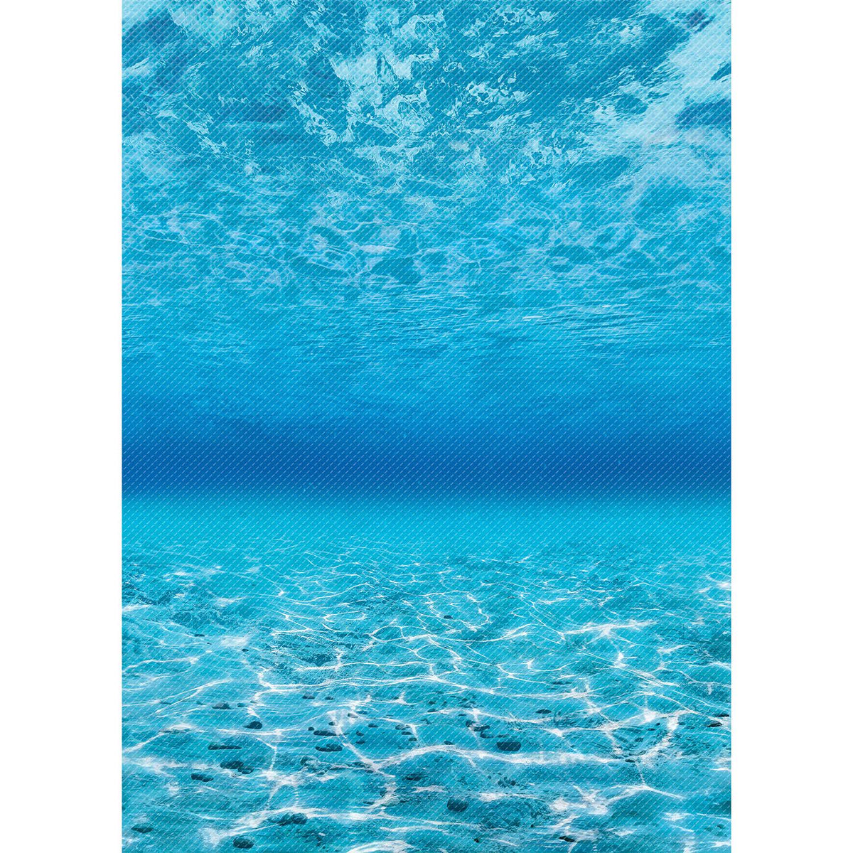 Under The Sea Bulletin Board Roll, Pack of 4 X520