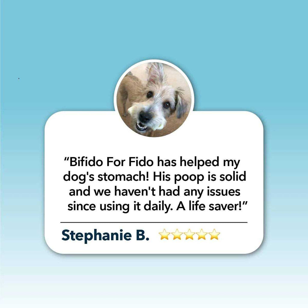 Pet Supplies O480975