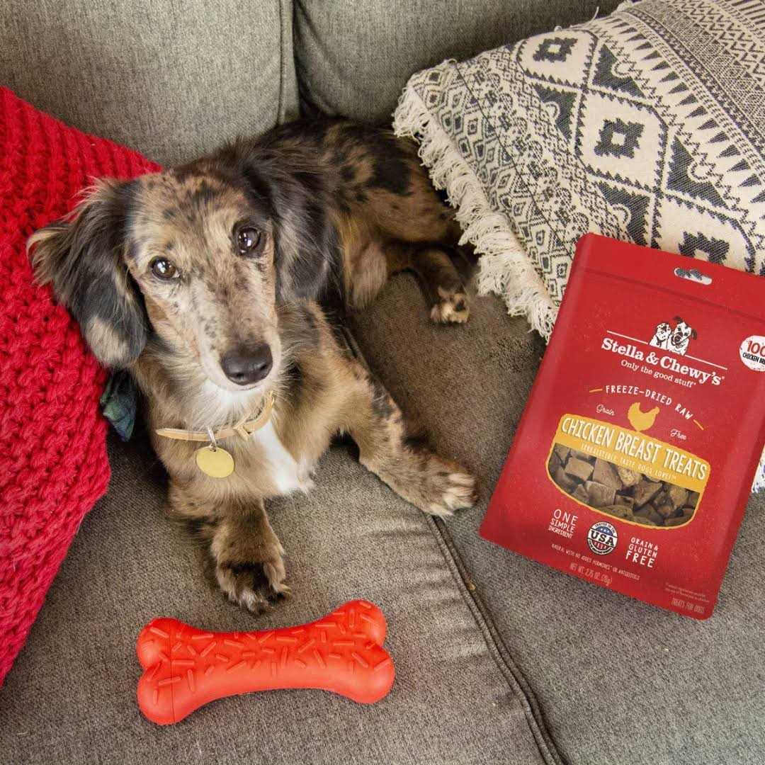 Chicken Hearts Freeze-Dried Dog Treats Y9414