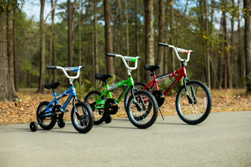 20-Inch BMX Bike D18940