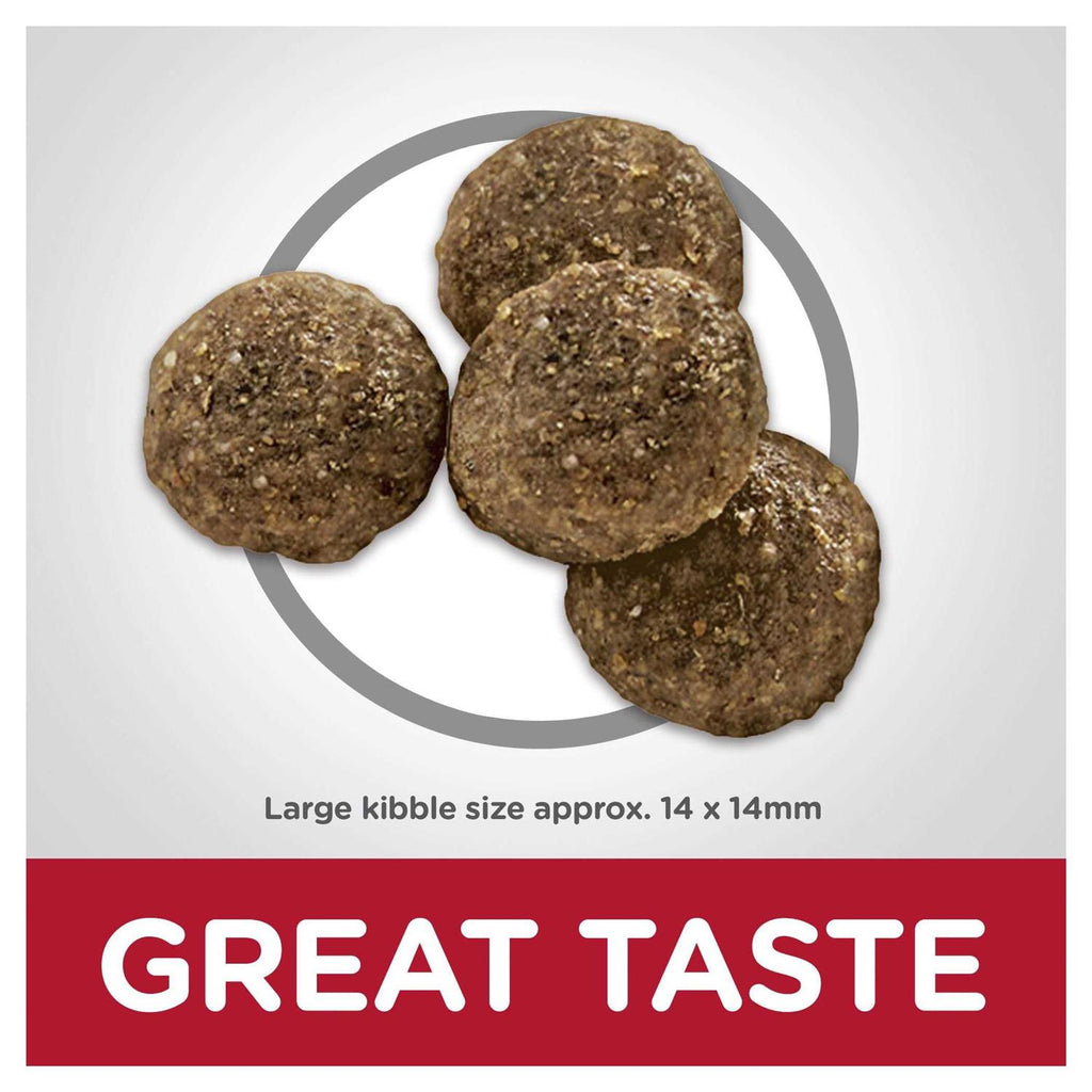 Adult Large Breed Lamb Meal & Brown Rice Dry Dog Food R84754