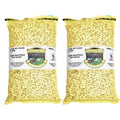 Extra Large Virginia Peanuts G66346