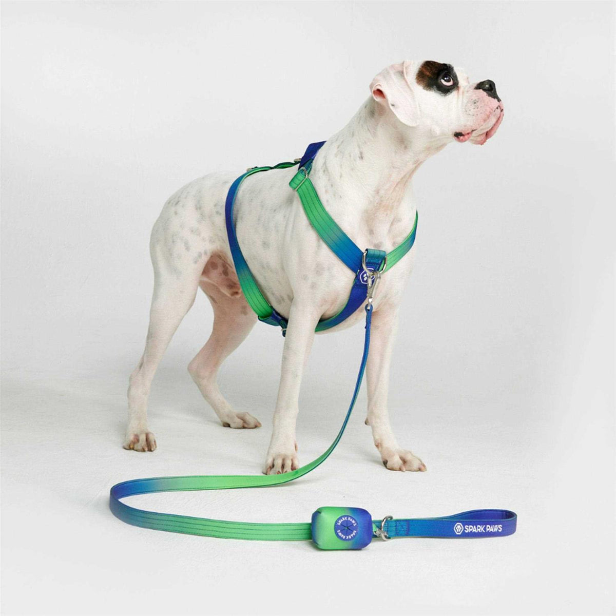 No-Pull Dog Harness D669935