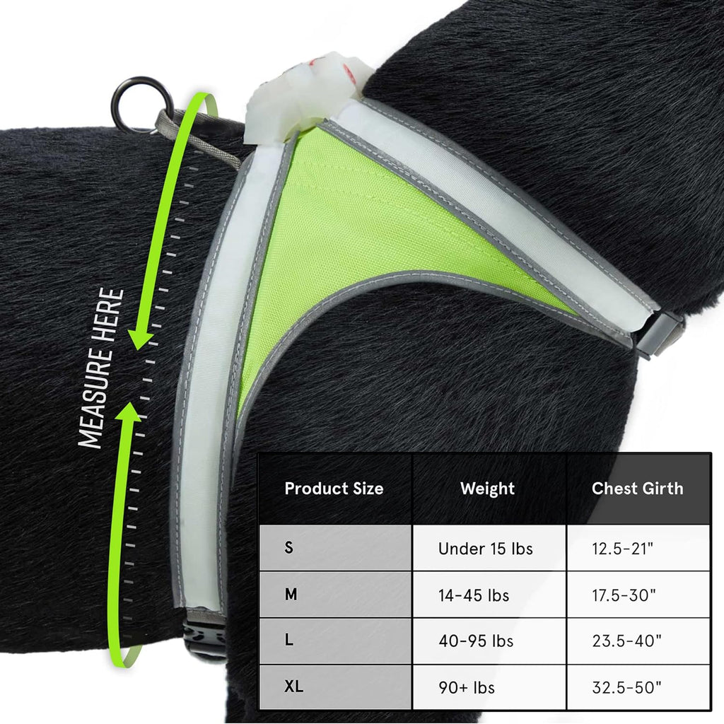 Multicolor LED Reflective Dog Harness Medium Pack of 2 C85878