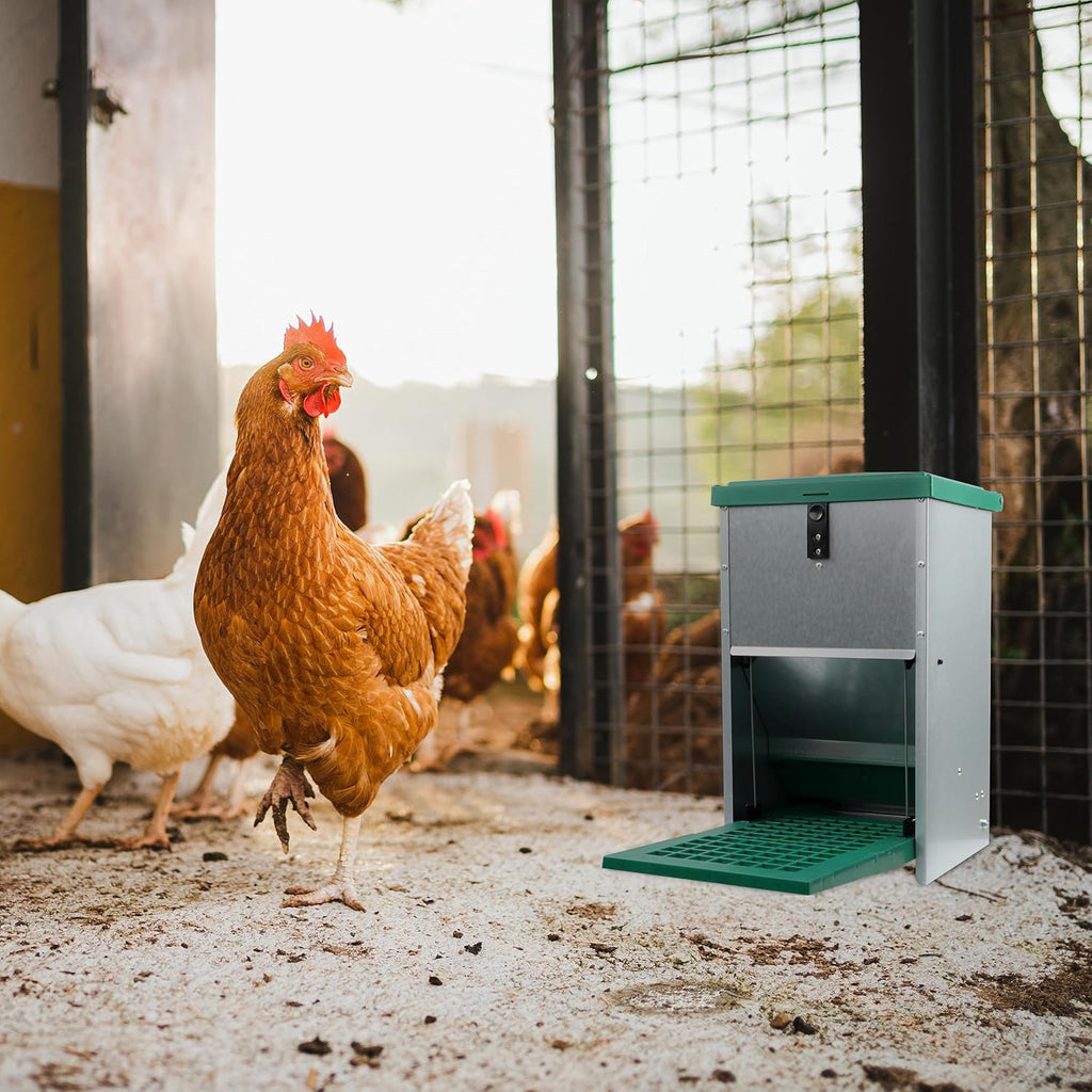 17.6 lb. Capacity Automatic Chicken Feeder O518842