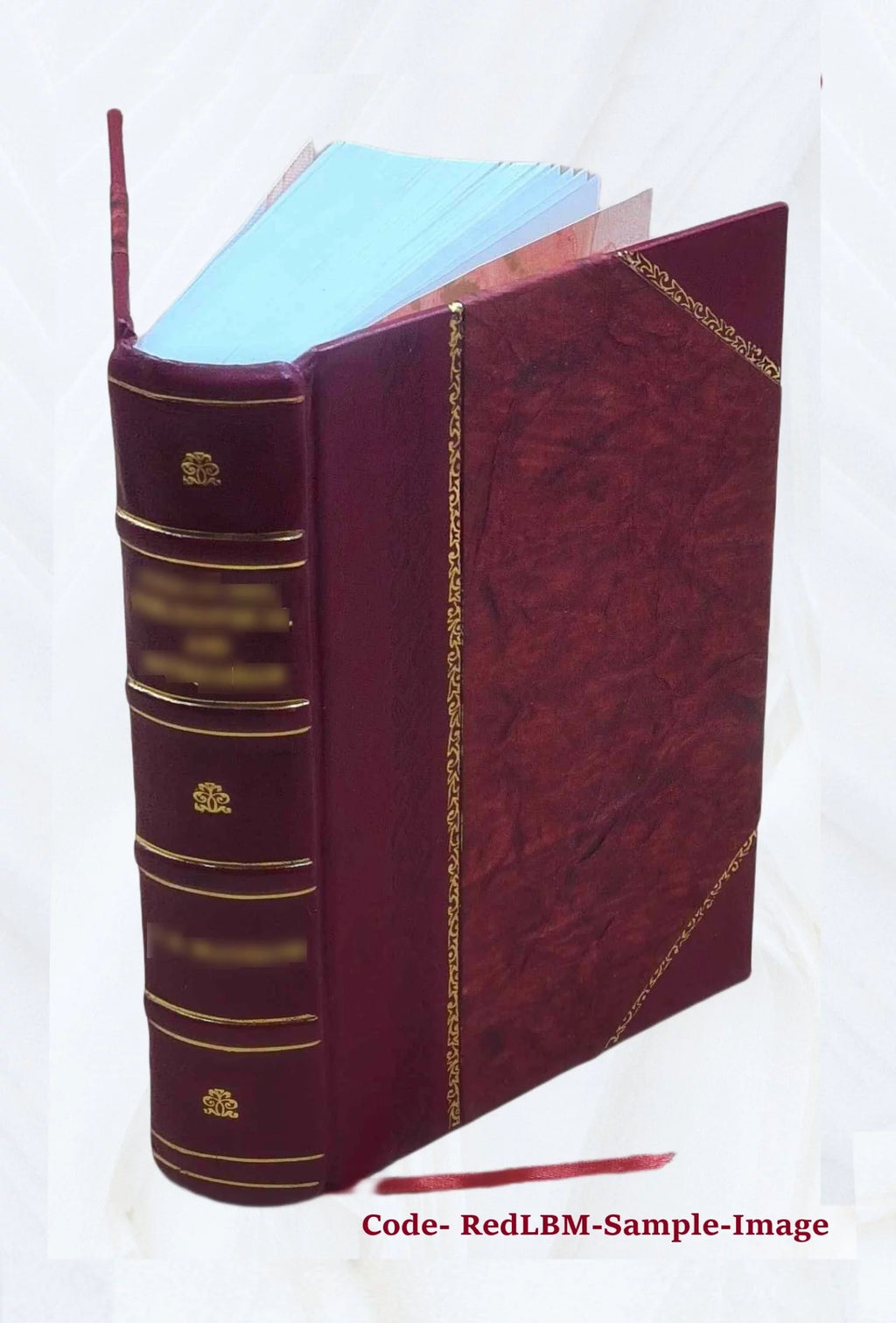Letters and papers foreign and domestic of the reign of Henry VIII T6704