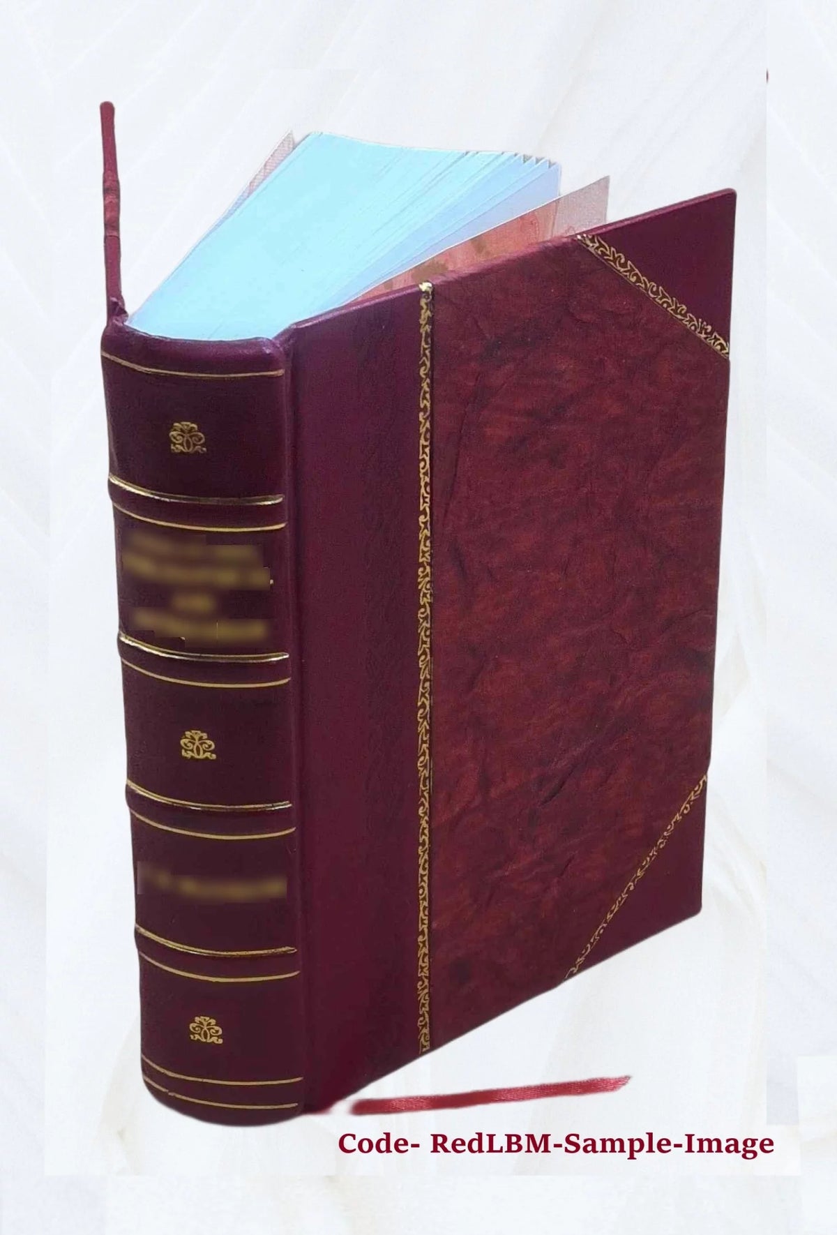 Letters and papers foreign and domestic of the reign of Henry VIII T6704