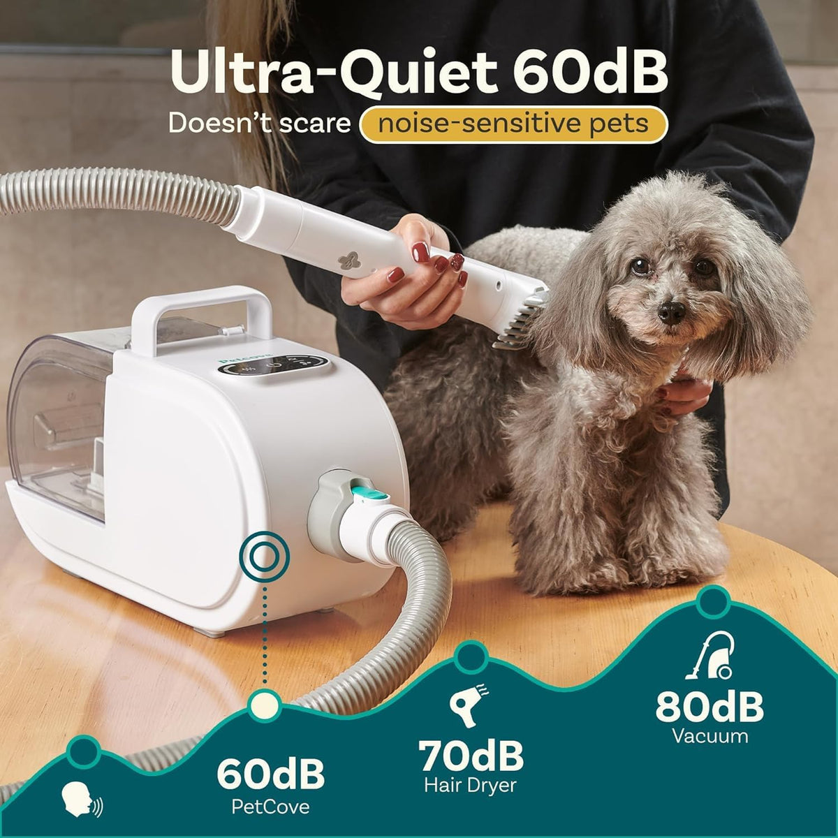 Dog Grooming Kit and Dog Hair Dryer V565467