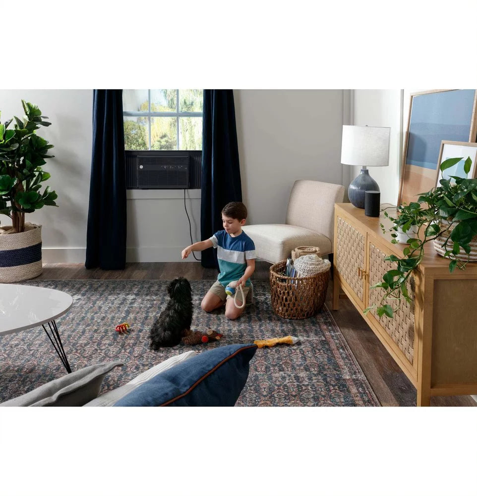 10,000 BTU Window Air Conditioner with WiFi and Eco Mode, Black R965
