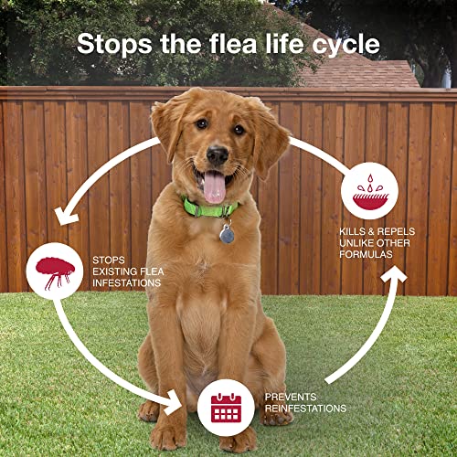 Flea, Tick & Mosquito Treatment & Prevention for Dogs 11-20 lbs A299