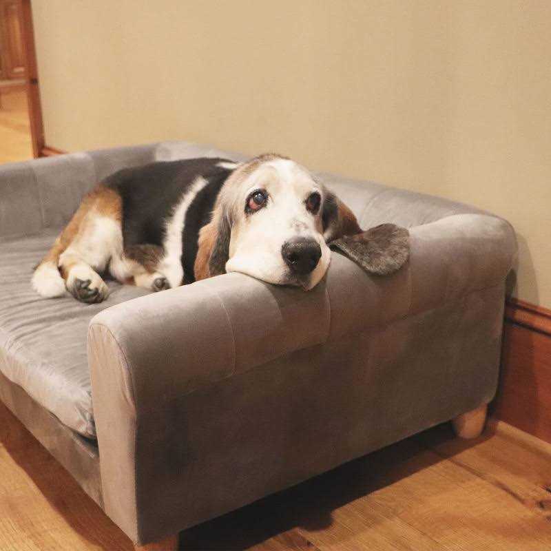 42-in. Faux-Velvet Rectangle Pet Bed E964