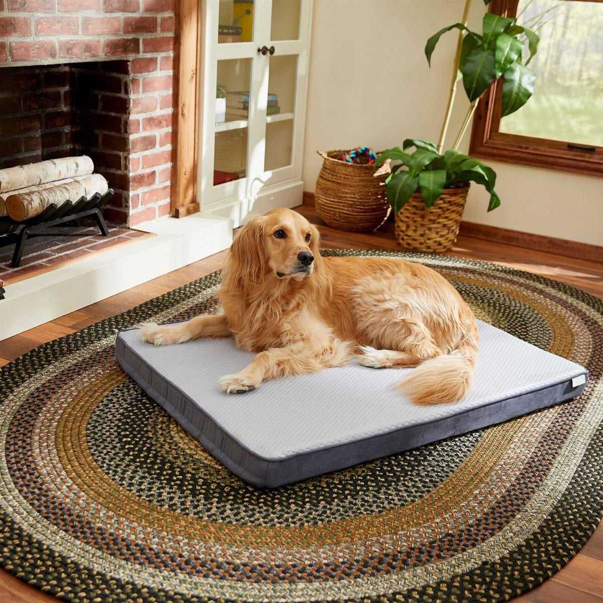 Cooling Orthopedic Dog Bed with Removable Cover Large V805