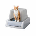 Self-Cleaning Cat Litter Box Z503361