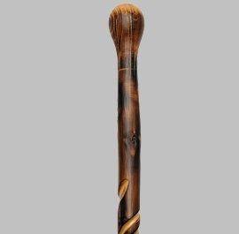 Scorched Cherry Maple Cane J772959