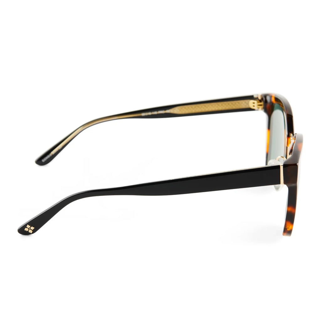 Tortoise Sunglasses B54117