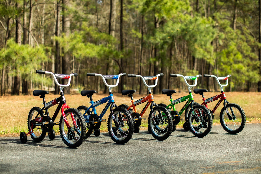20-Inch BMX Bike D18940