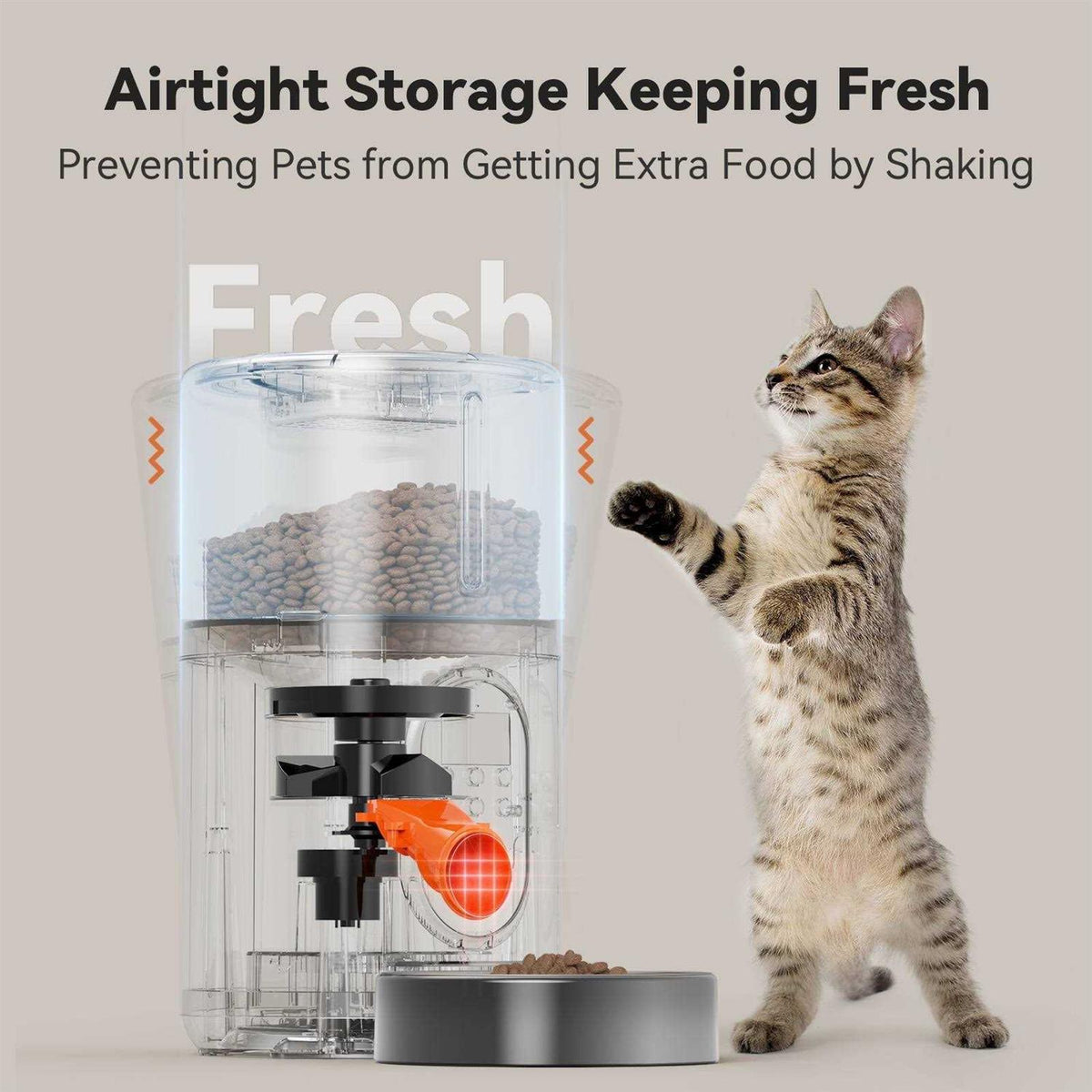 Automatic Dog and Cat Food Dispenser with Stainless Steel Bowl L651