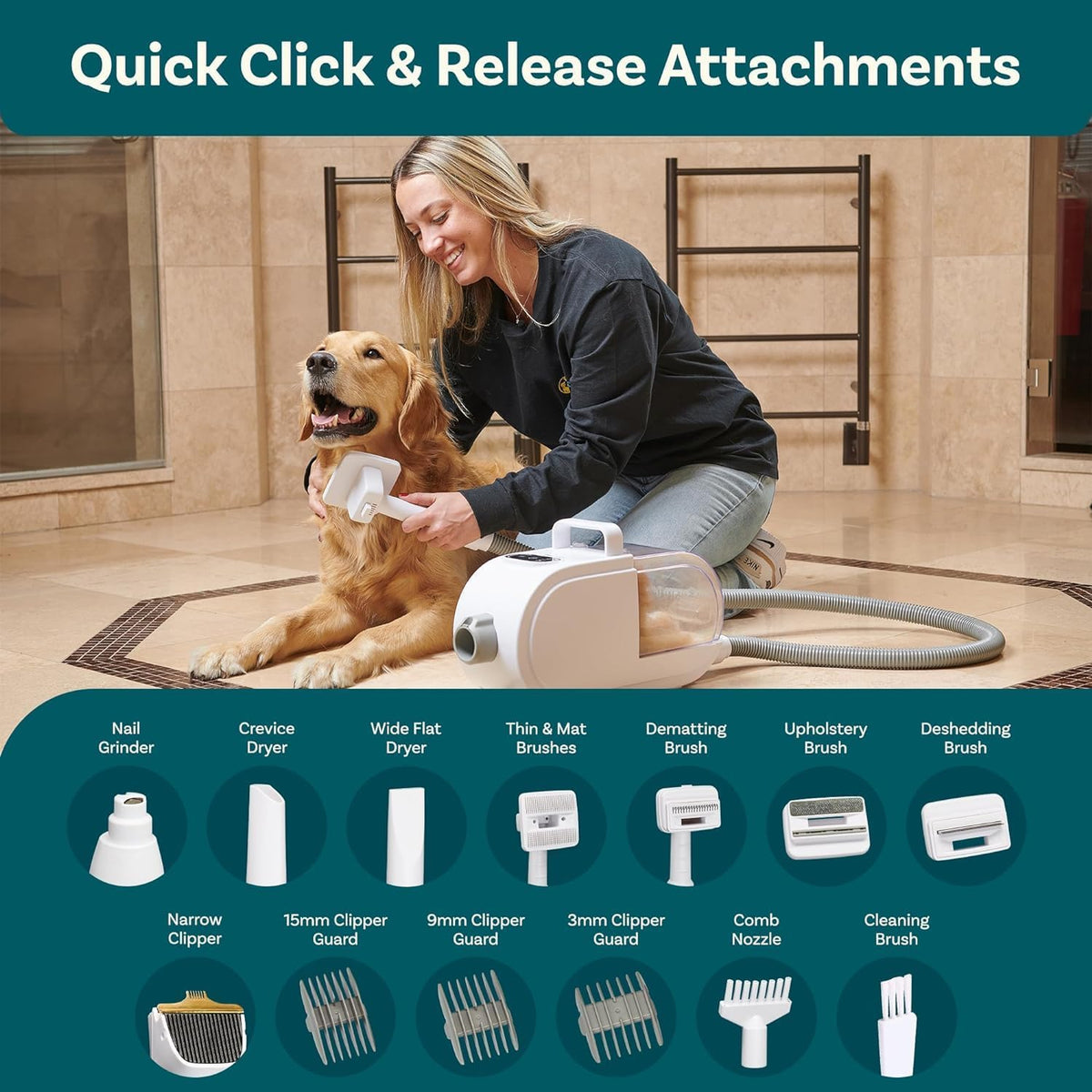 Dog Grooming Kit and Dog Hair Dryer V565467