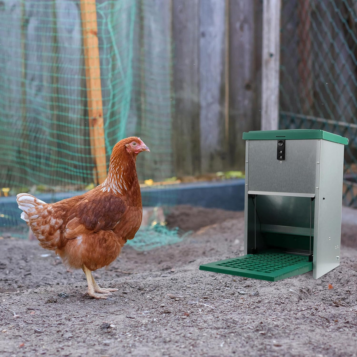 17.6 lb. Capacity Automatic Chicken Feeder O518842
