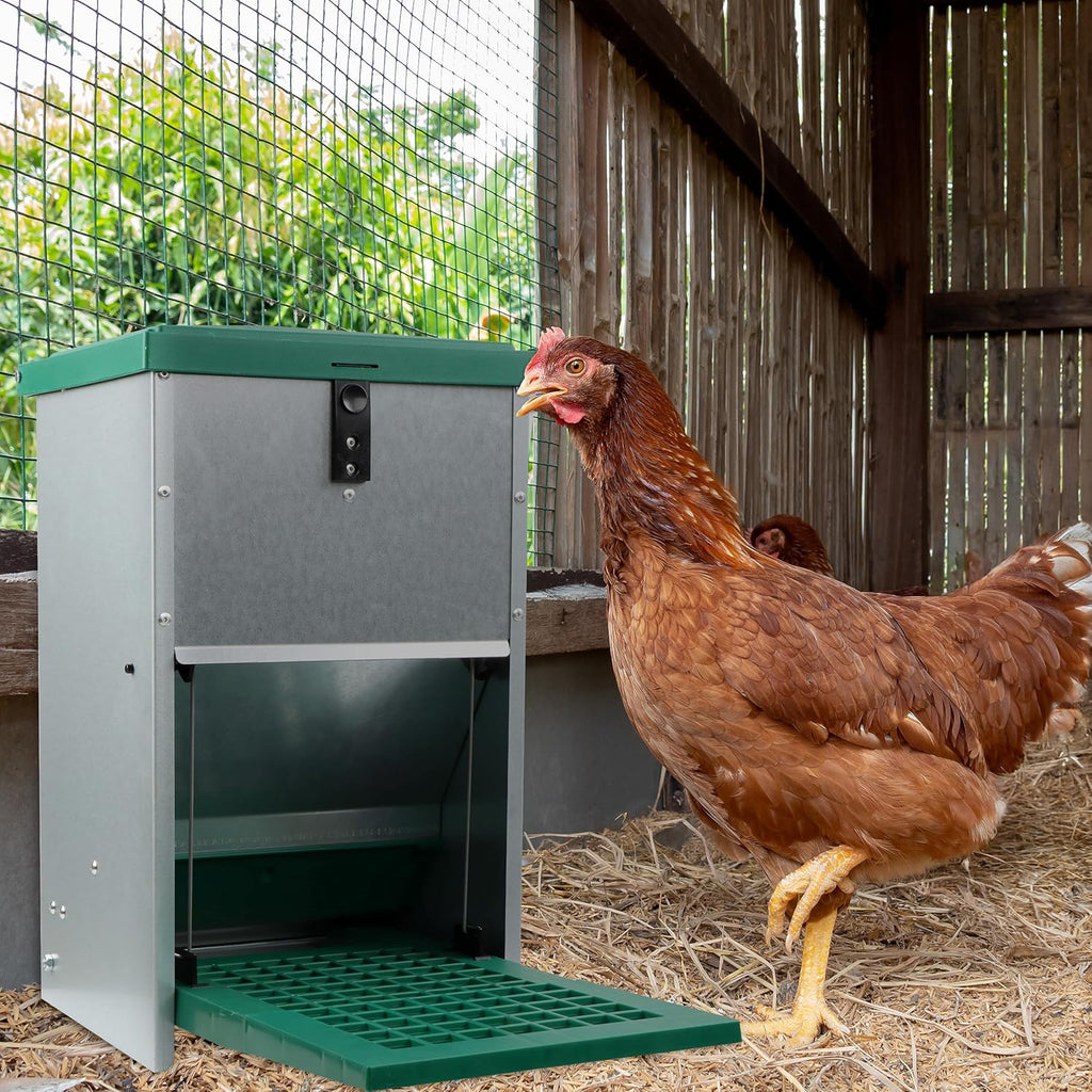 17.6 lb. Capacity Automatic Chicken Feeder O518842