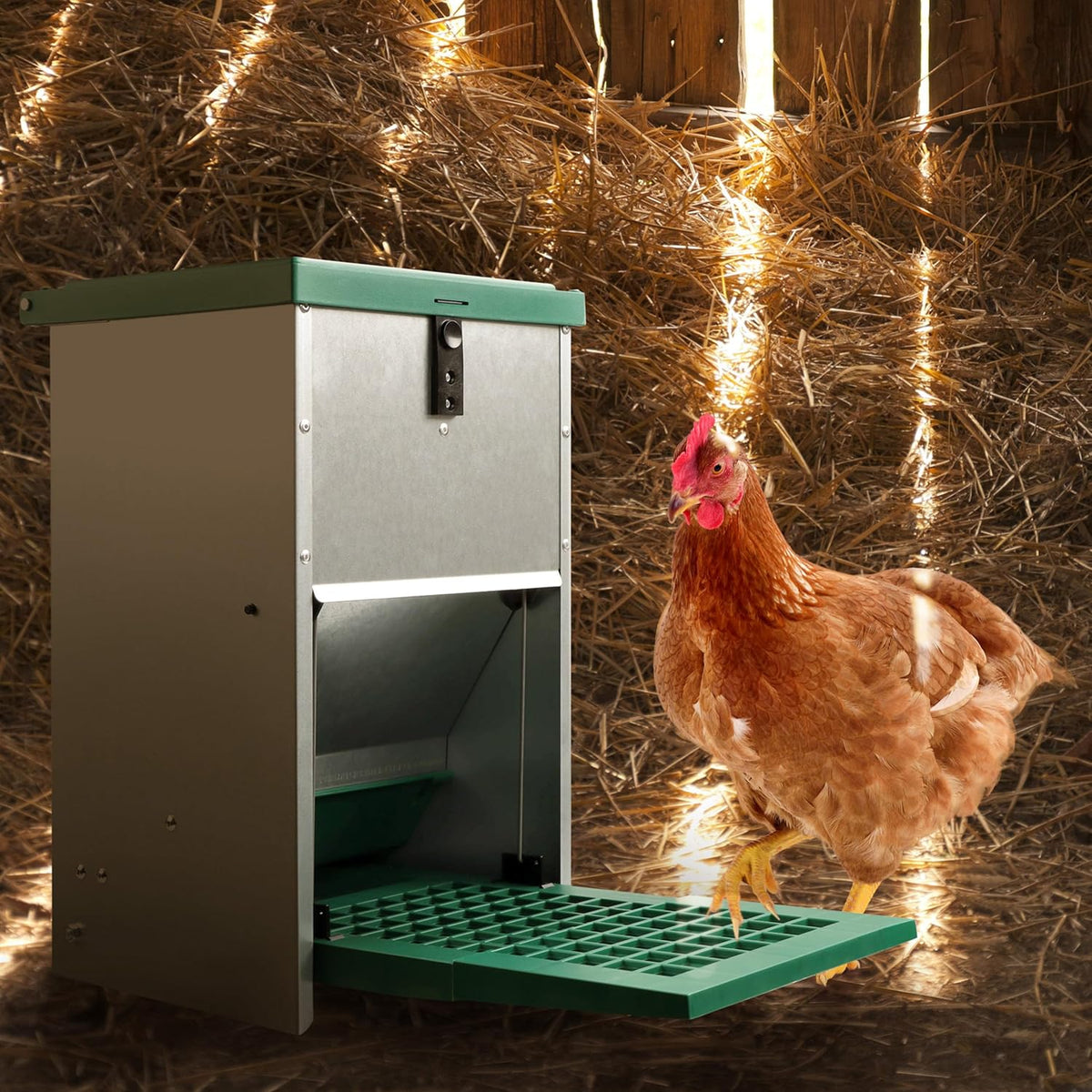 17.6 lb. Capacity Automatic Chicken Feeder O518842