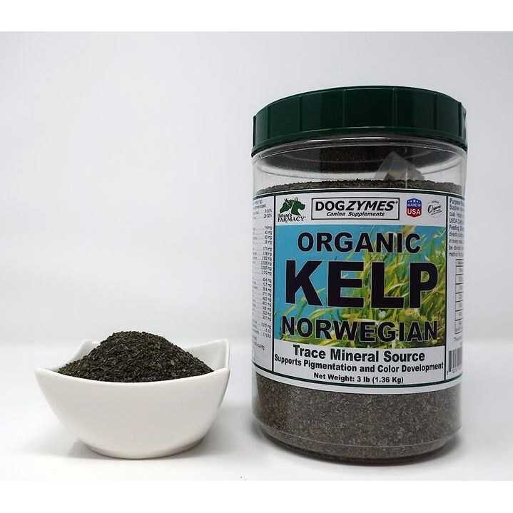 Organic Kelp with Garlic C4385