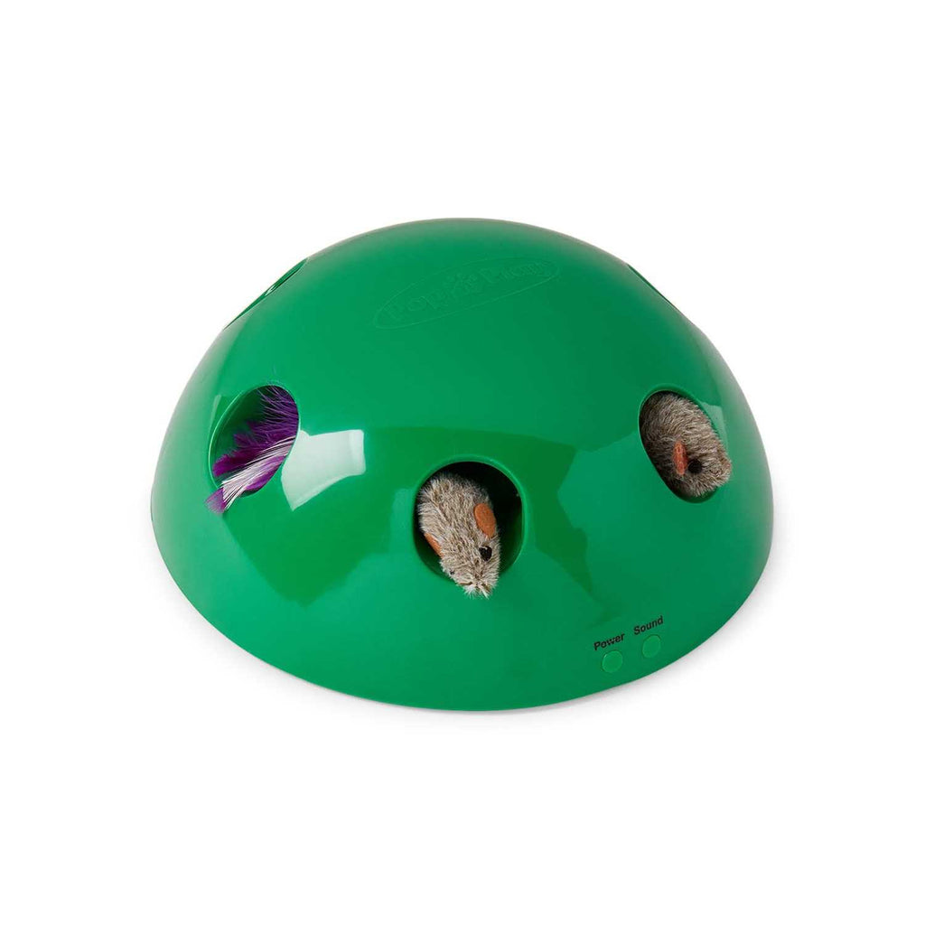 Cat Toy B654