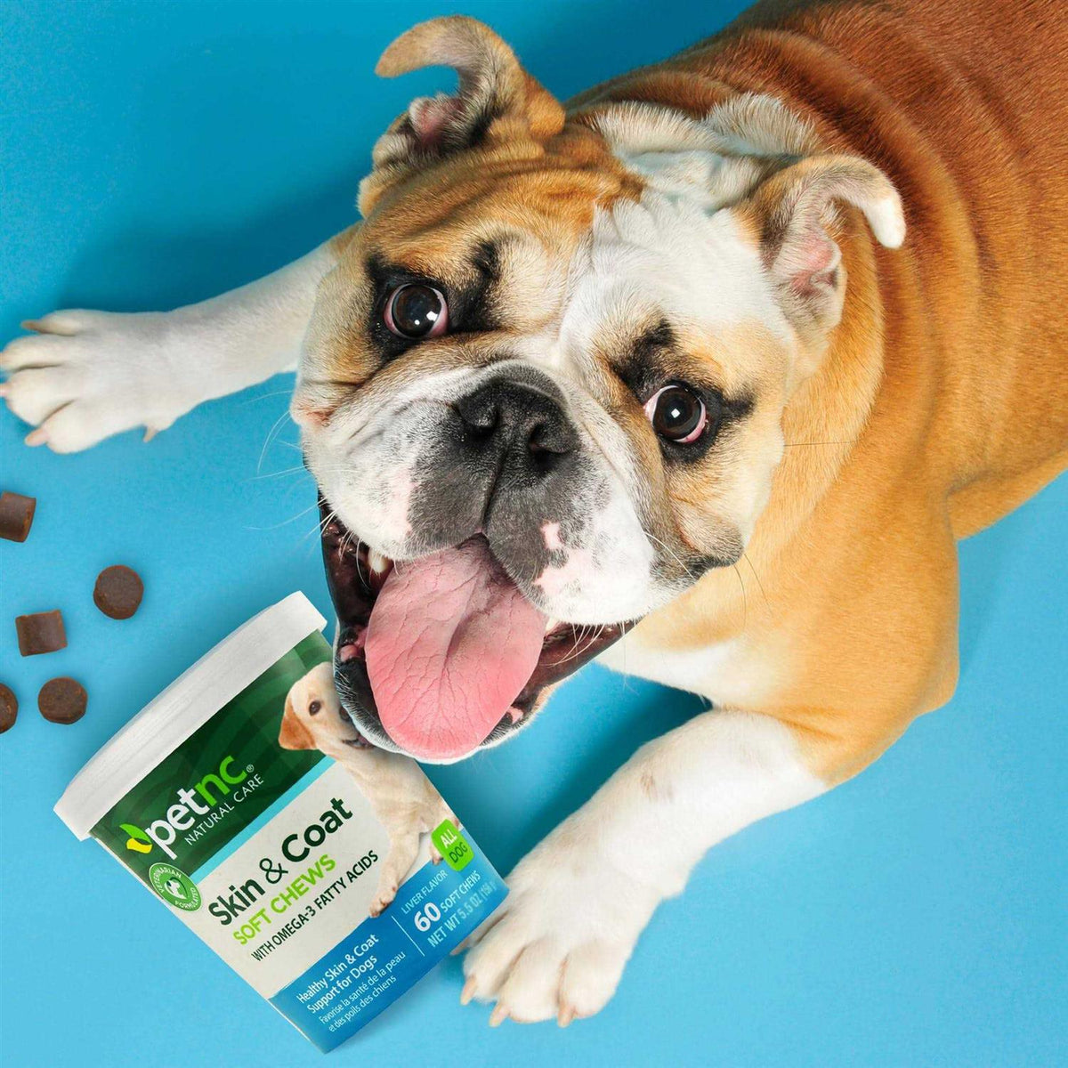Skin & Coat Soft Chews R947917