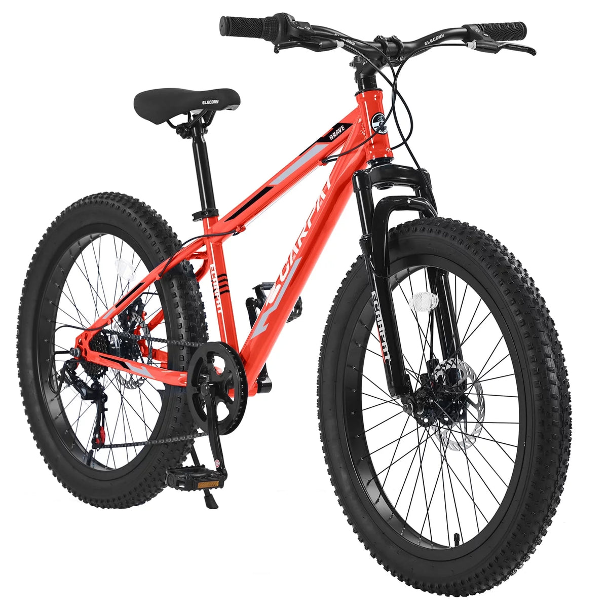 24 inch Fat Tire Mountain Bike V599989