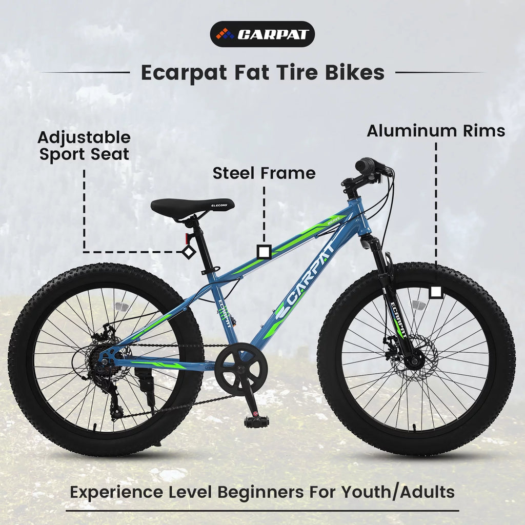 24 inch Fat Tire Mountain Bike V599989