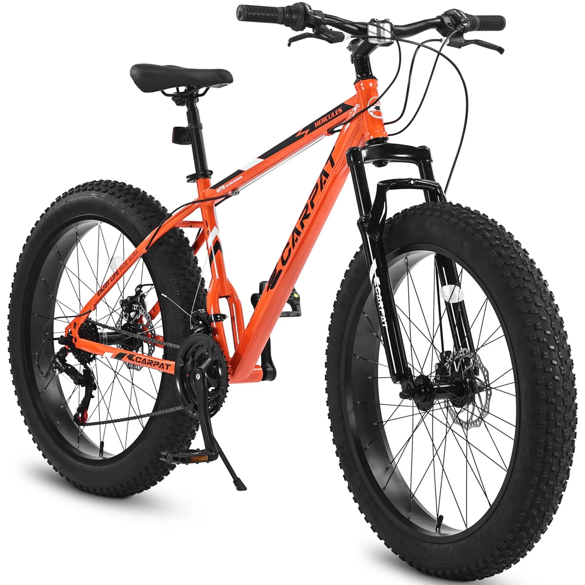 24 inch Fat Tire Mountain Bike V599989