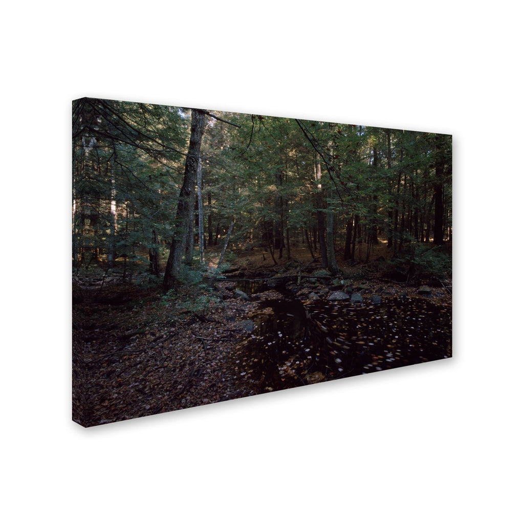 Canvas Art X817