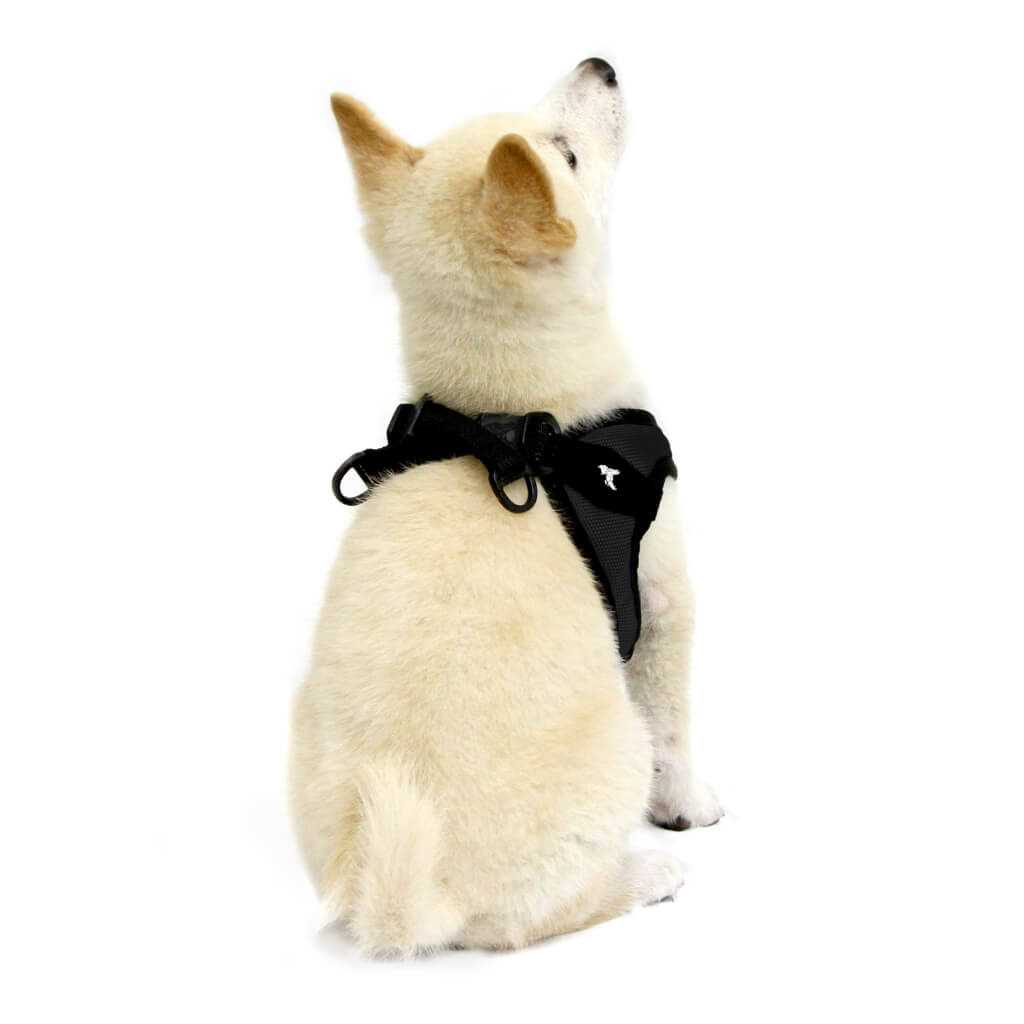 Easy Fit Dog Harness Q61902