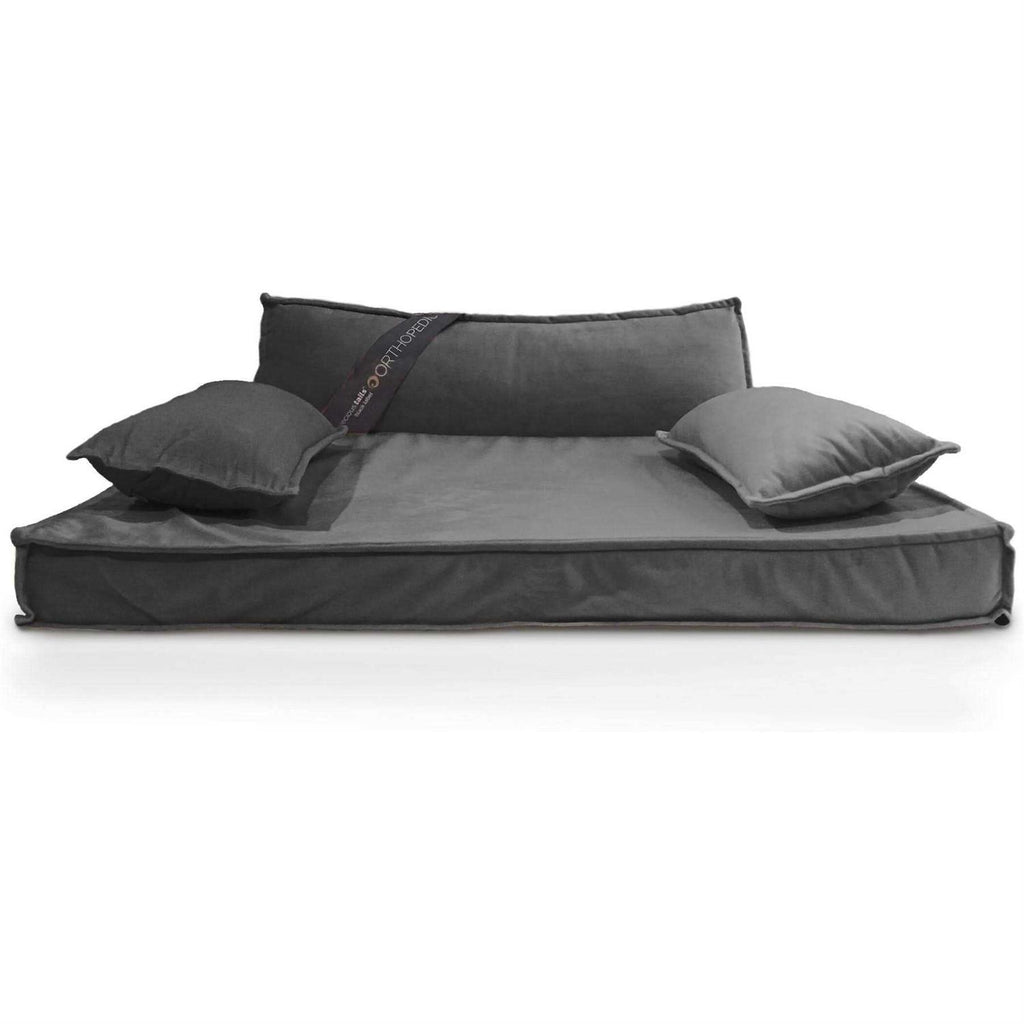 Modern Pet Sofa Bed L5440