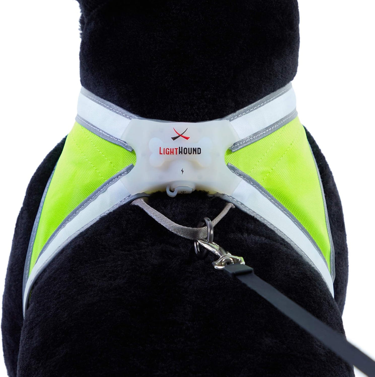 Multicolor LED Reflective Dog Harness Medium Pack of 2 C85878