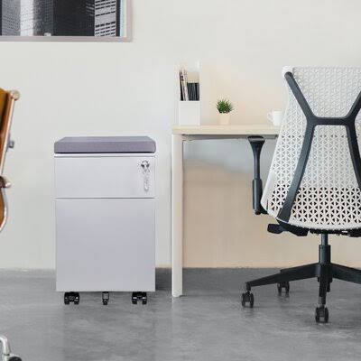 Silver 2-Drawer Vertical Filing Cabinet D87057