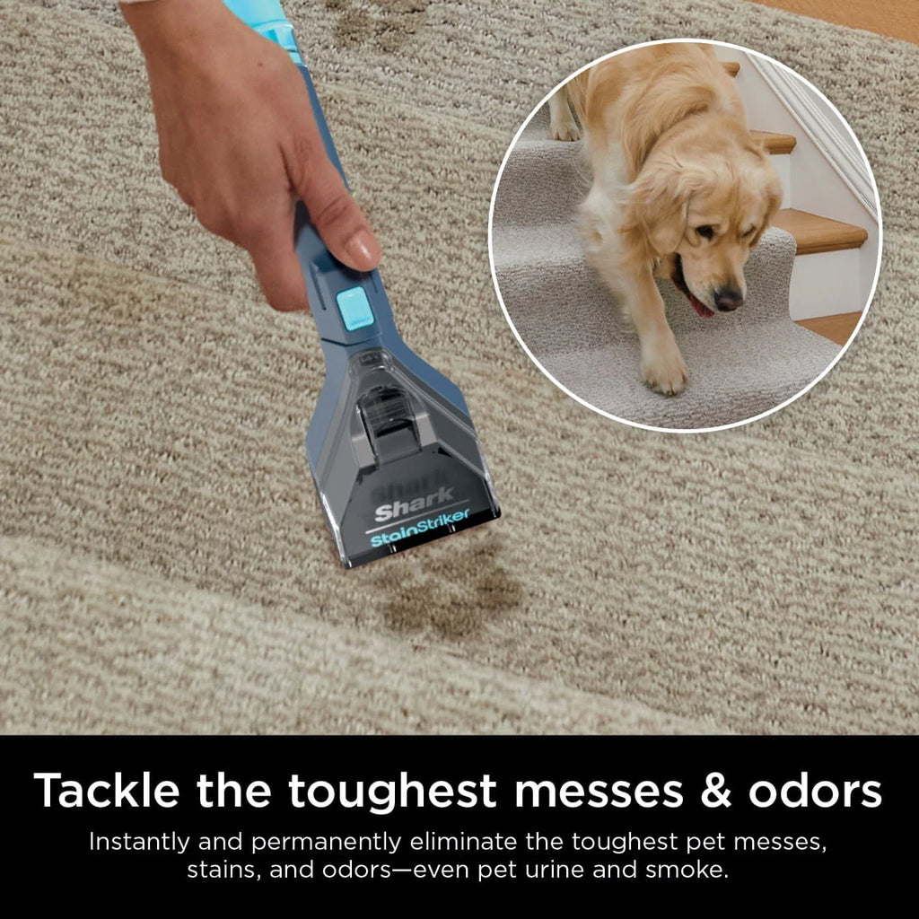 Portable Carpet & Upholstery Cleaner B69830