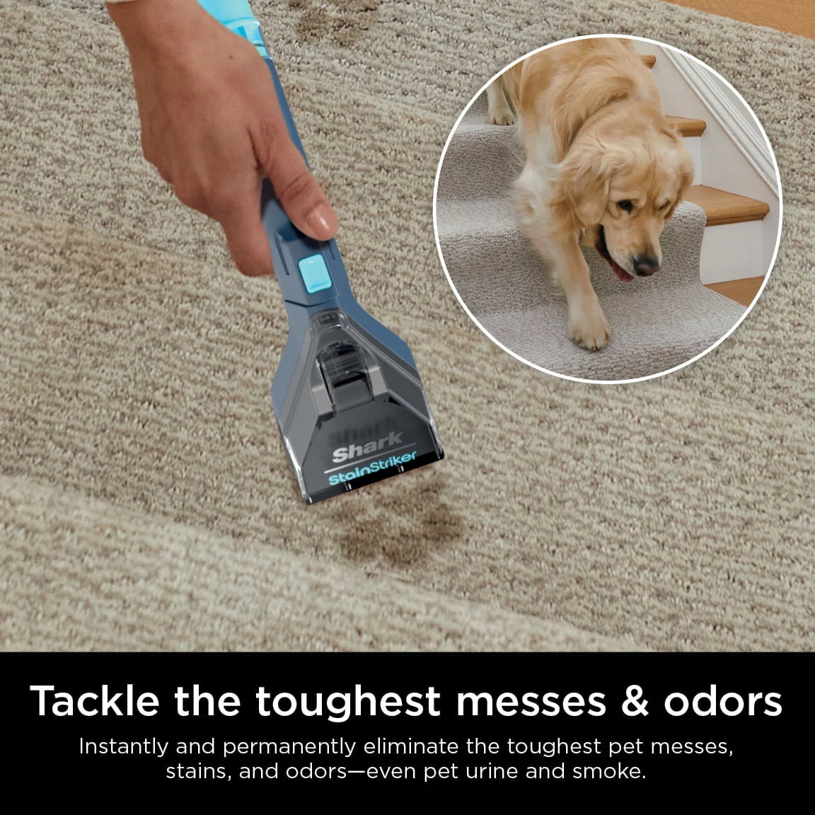 Portable Carpet & Upholstery Cleaner B69830