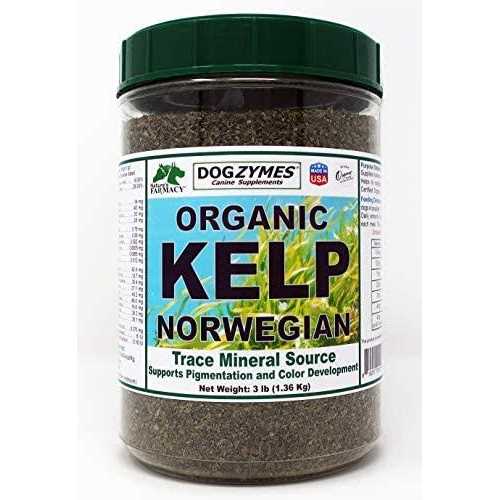 Organic Kelp with Garlic C4385