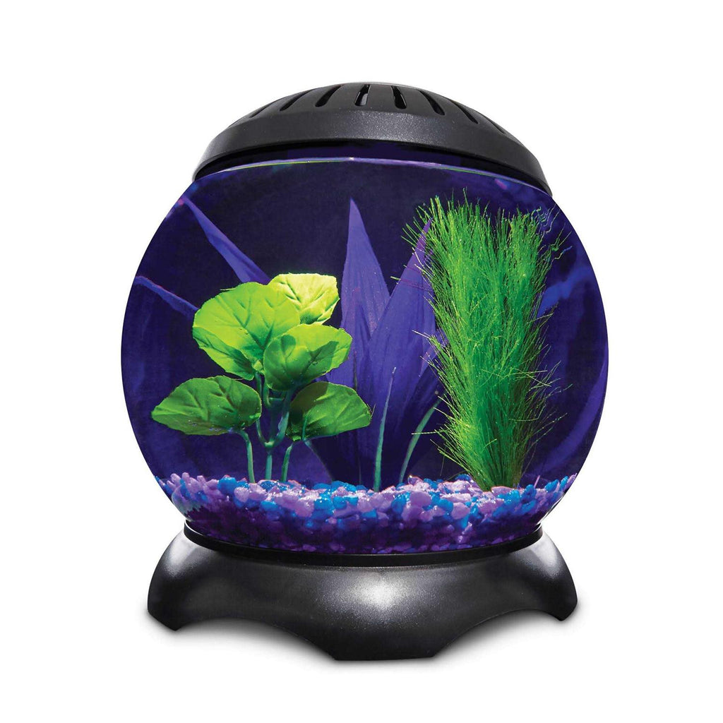 1.3 Gallon Tank A4556