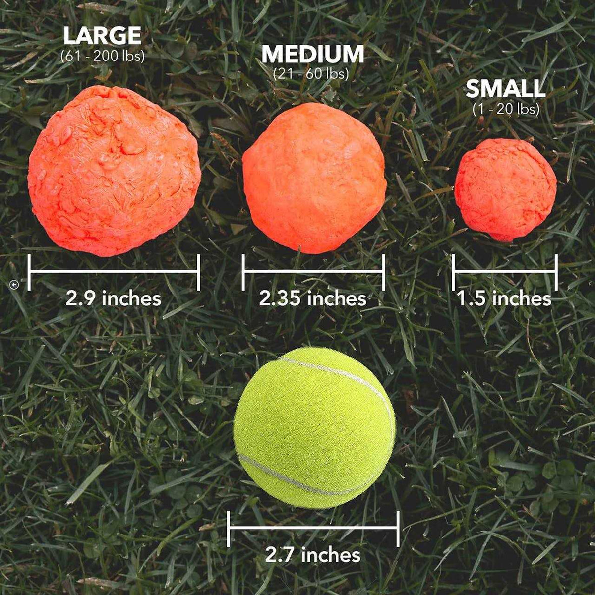 Dog Toy E99396