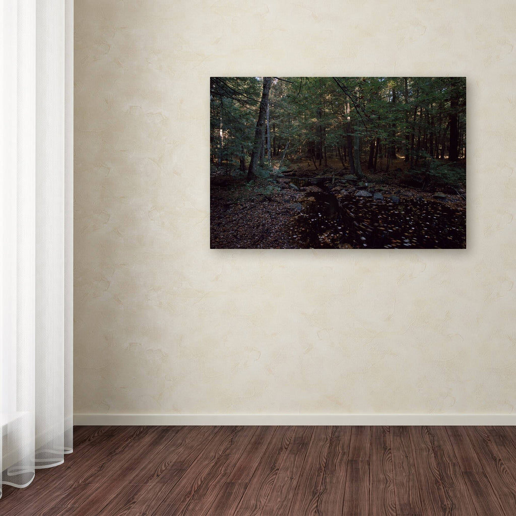 Canvas Art X817