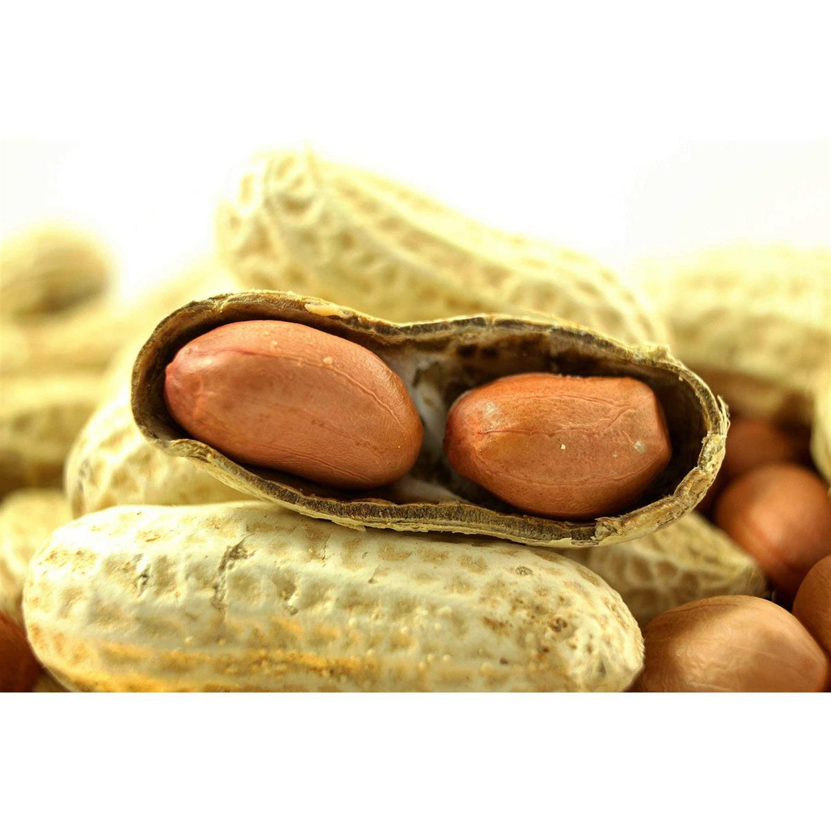 Extra Large Virginia Peanuts G66346
