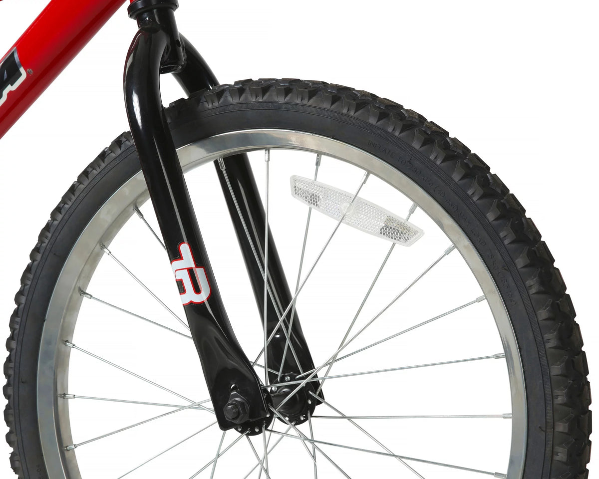 20-Inch BMX Bike D18940